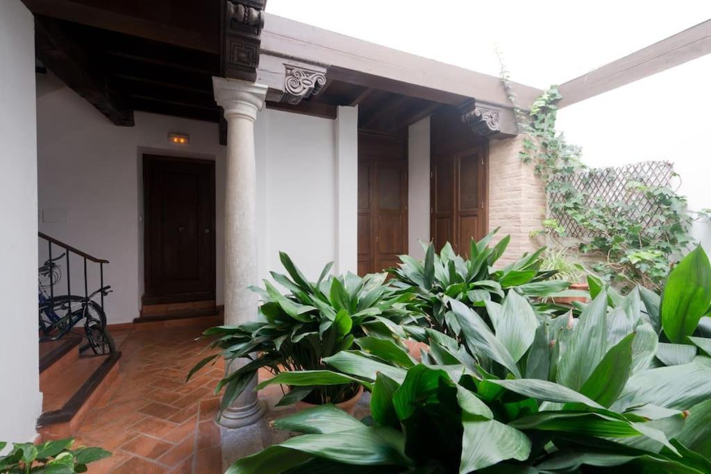 Central, Near The Alhambra, Quiet And Autentic! — Photos 1